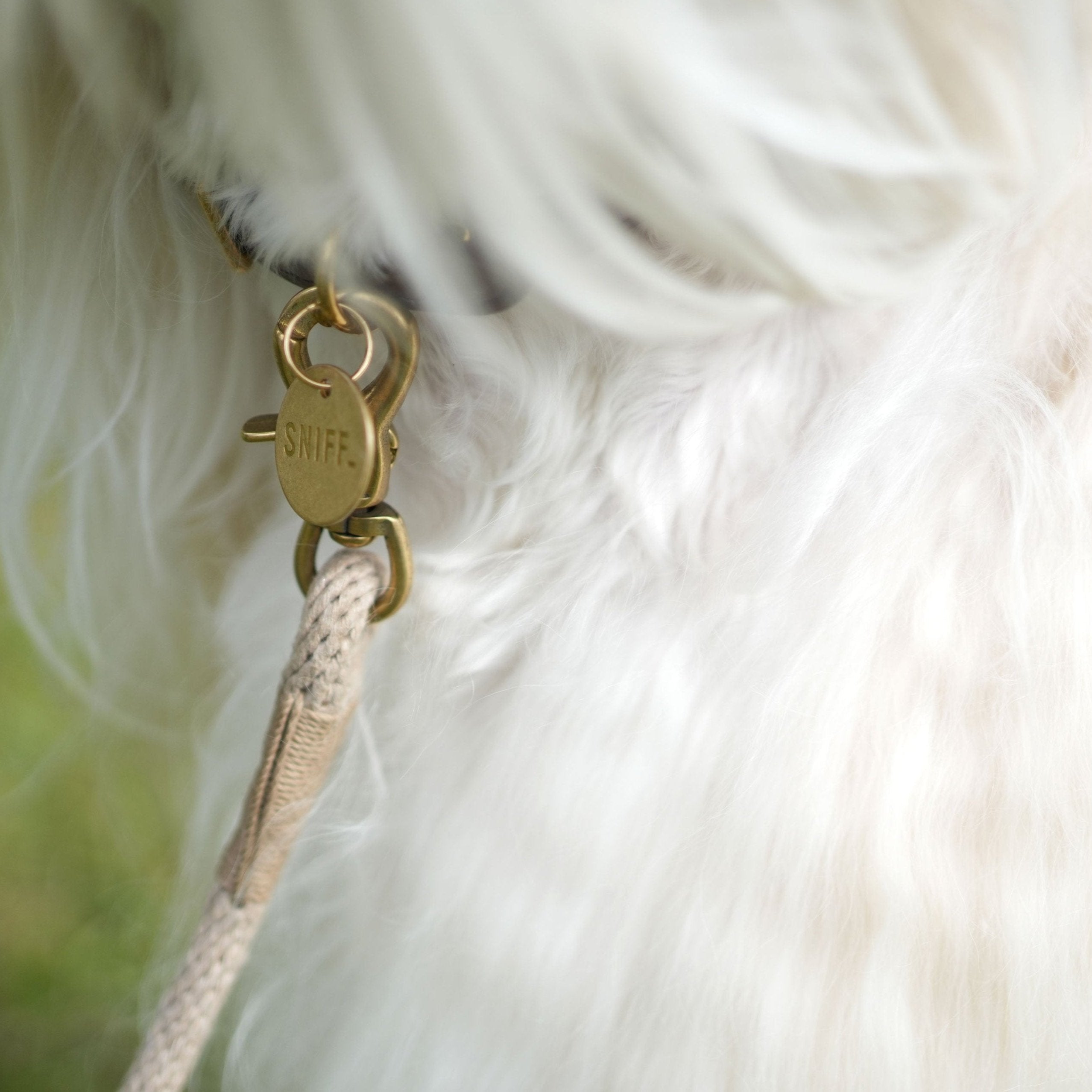 Engagement Collar Sand