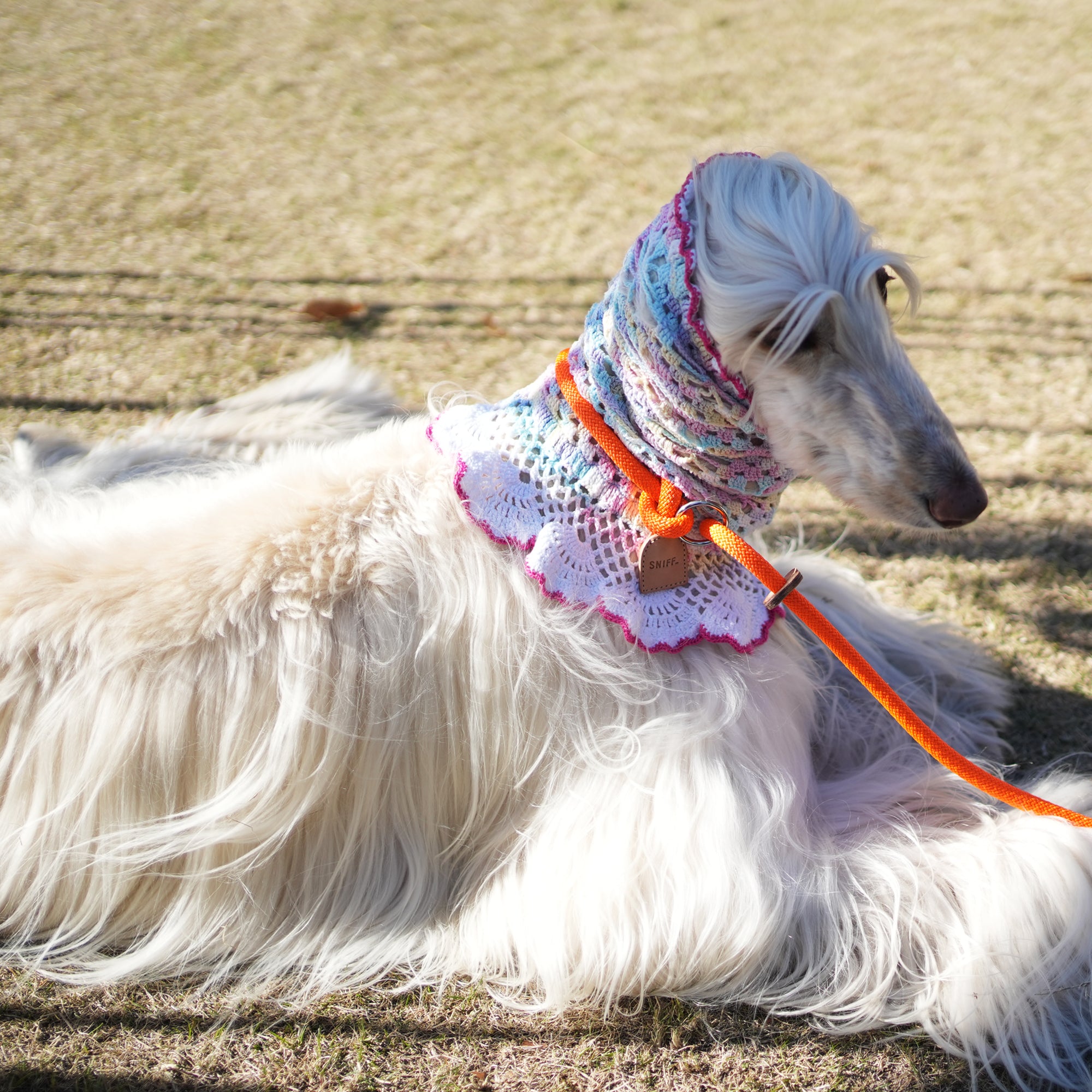 Arch Leash One Orange