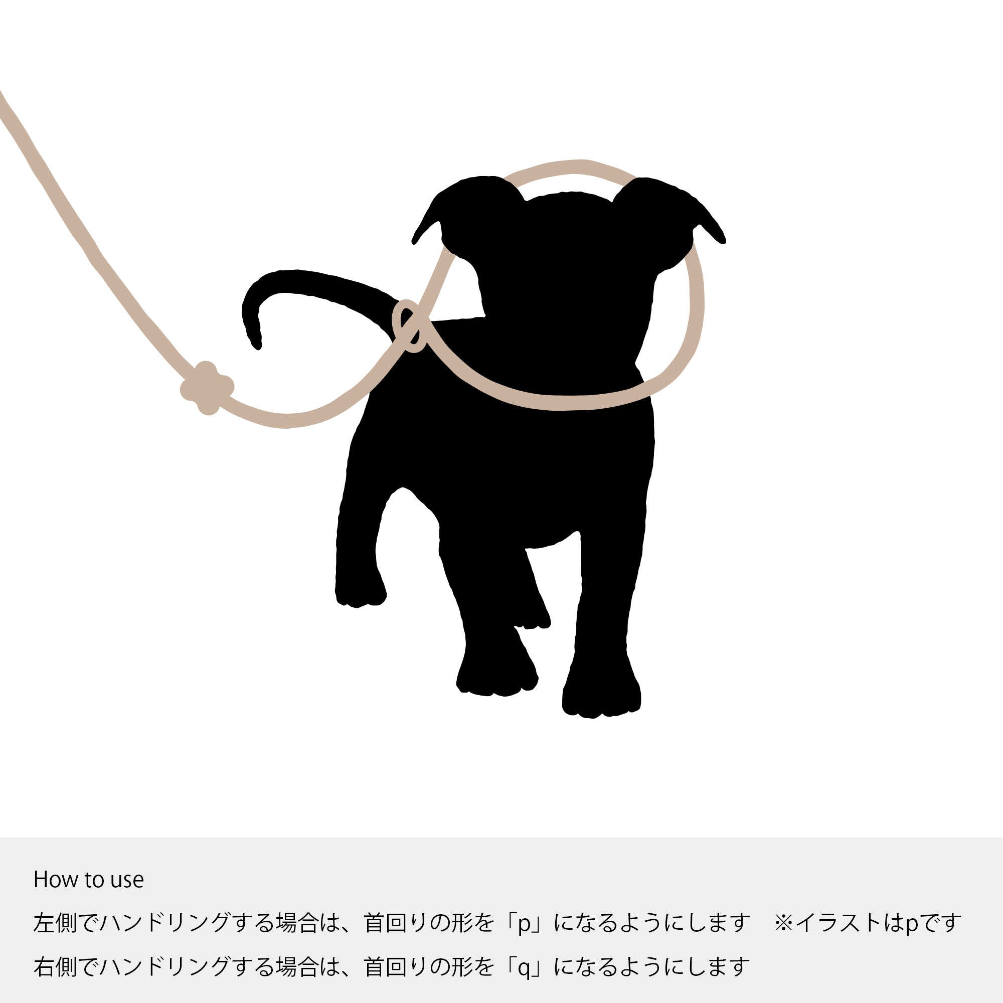 Arch Leash One Orange