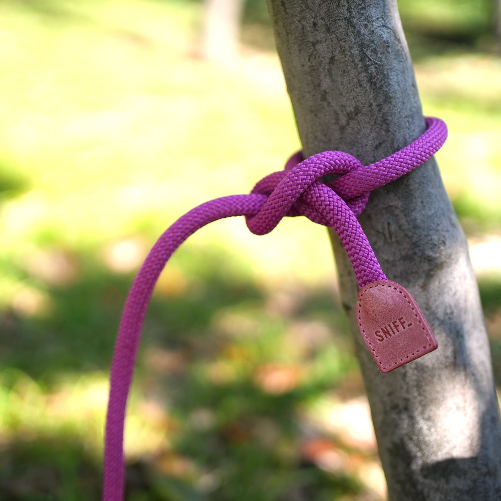 Arch Leash Pink