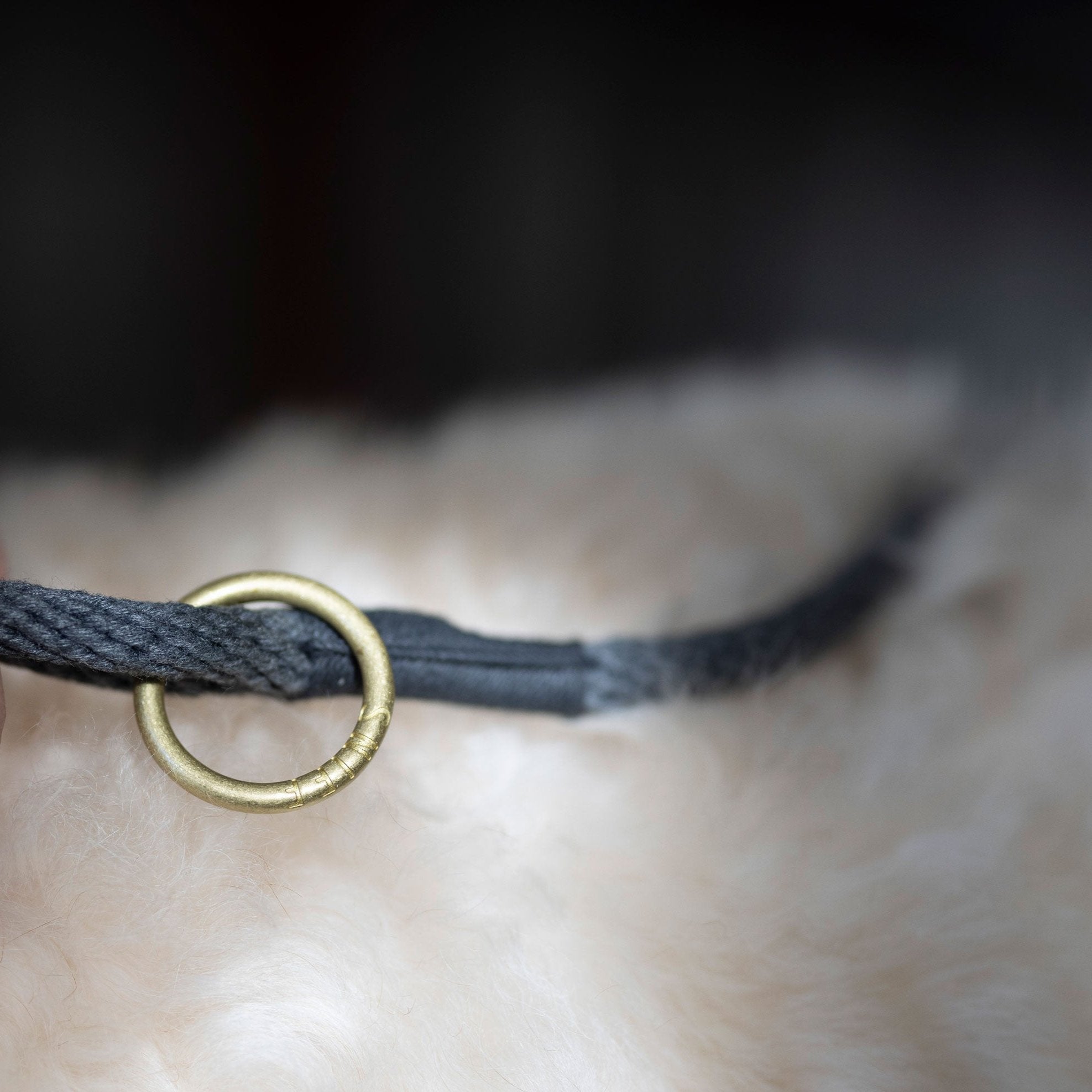 Engagement Leash Ink