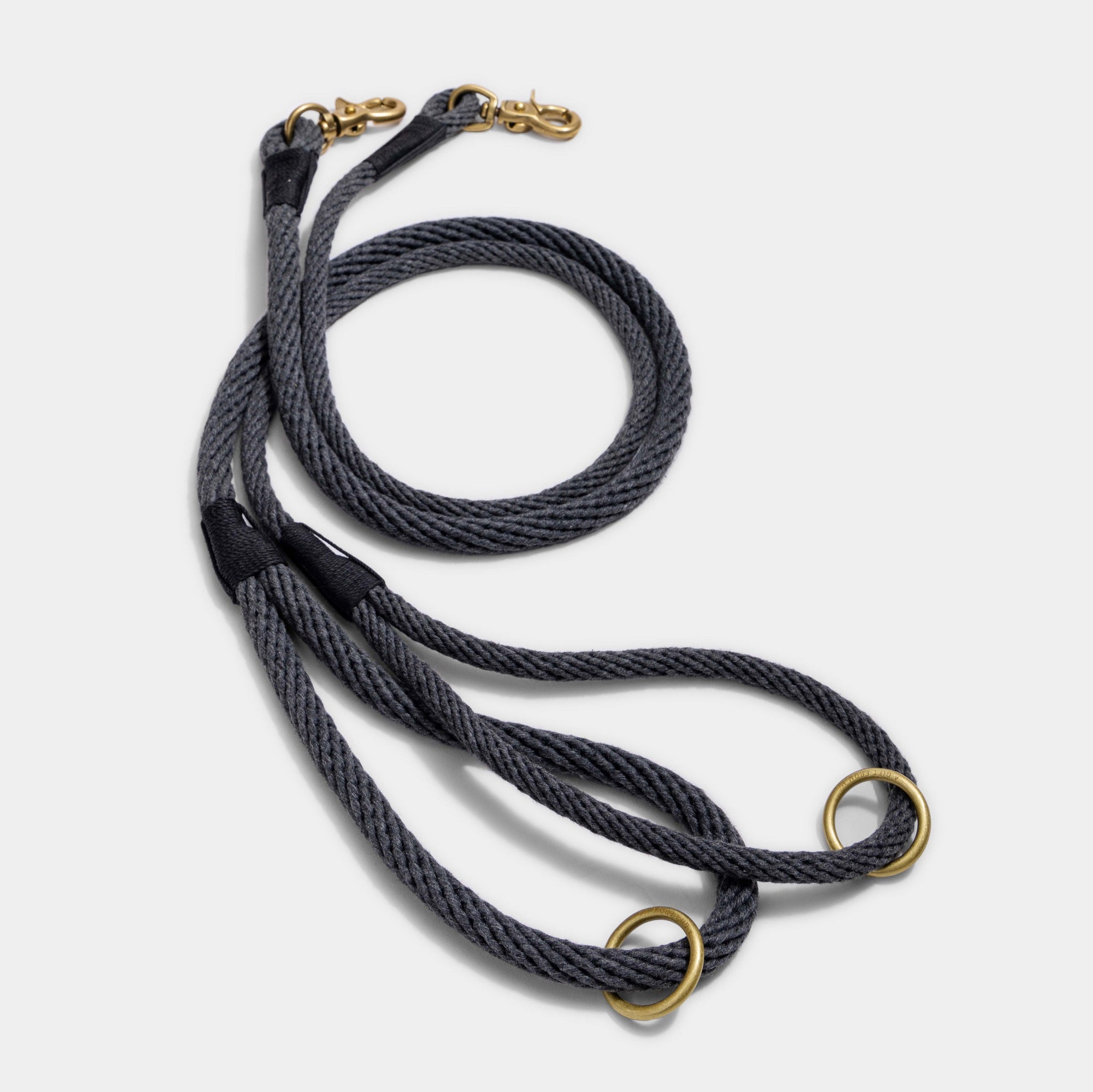 Engagement Leash Calm Sea