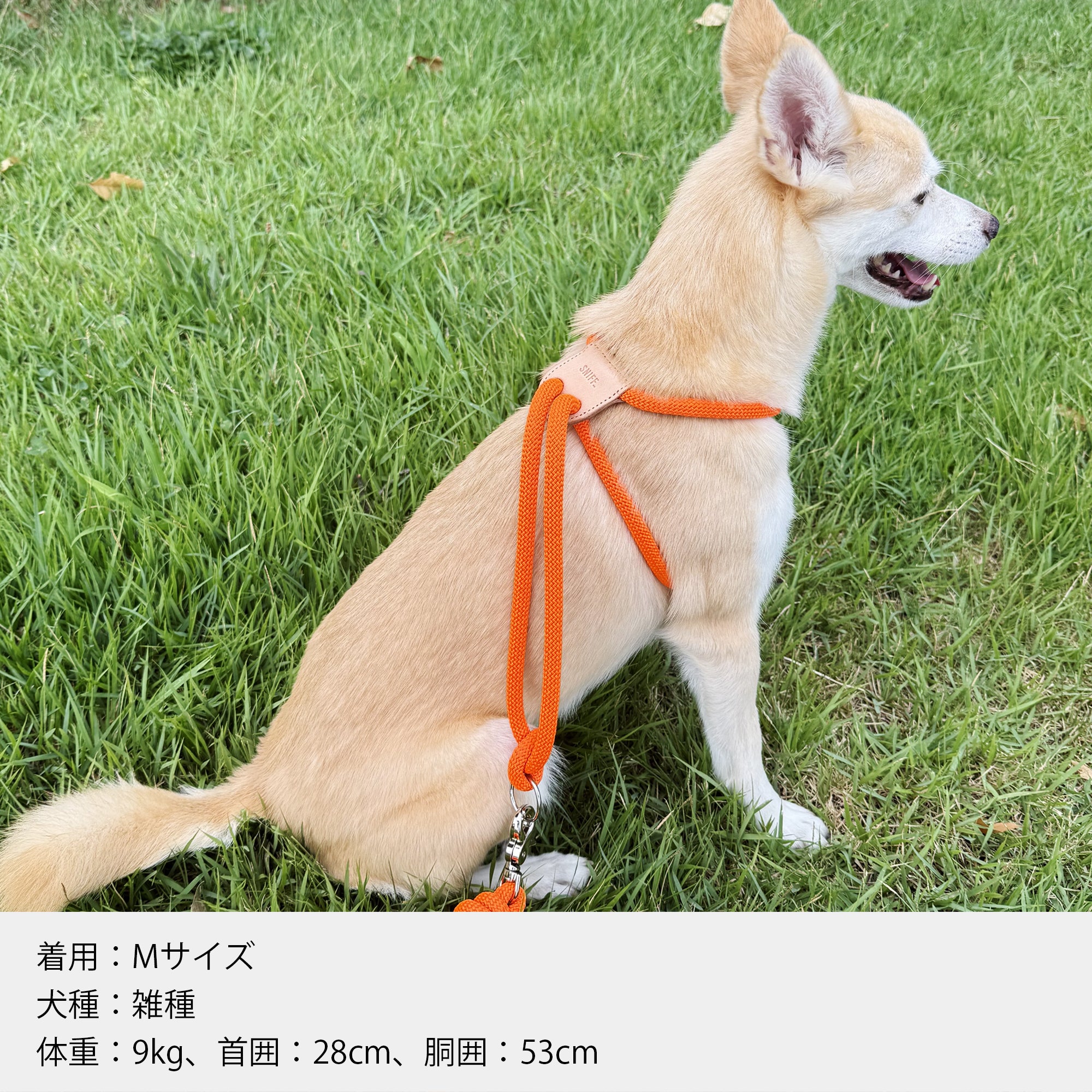 Arch Harness Beige
