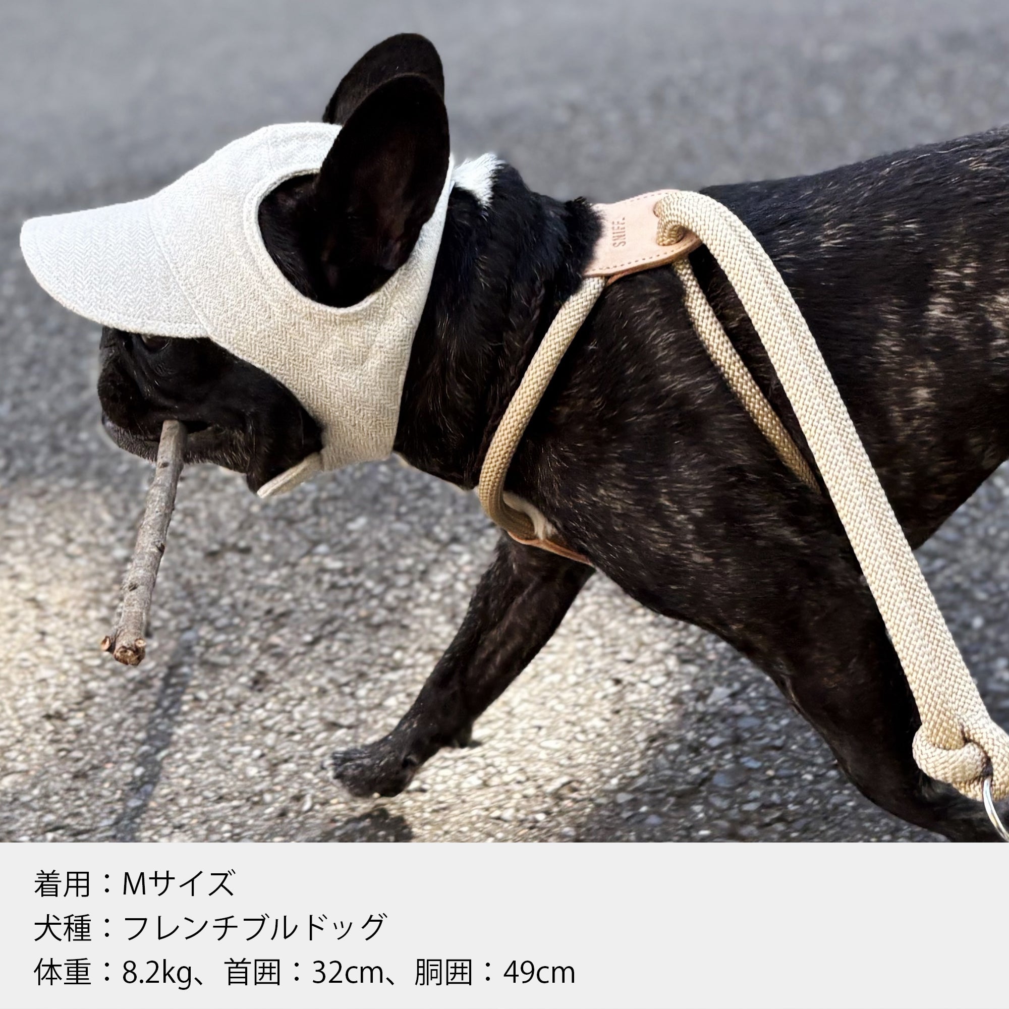 Arch Harness Beige