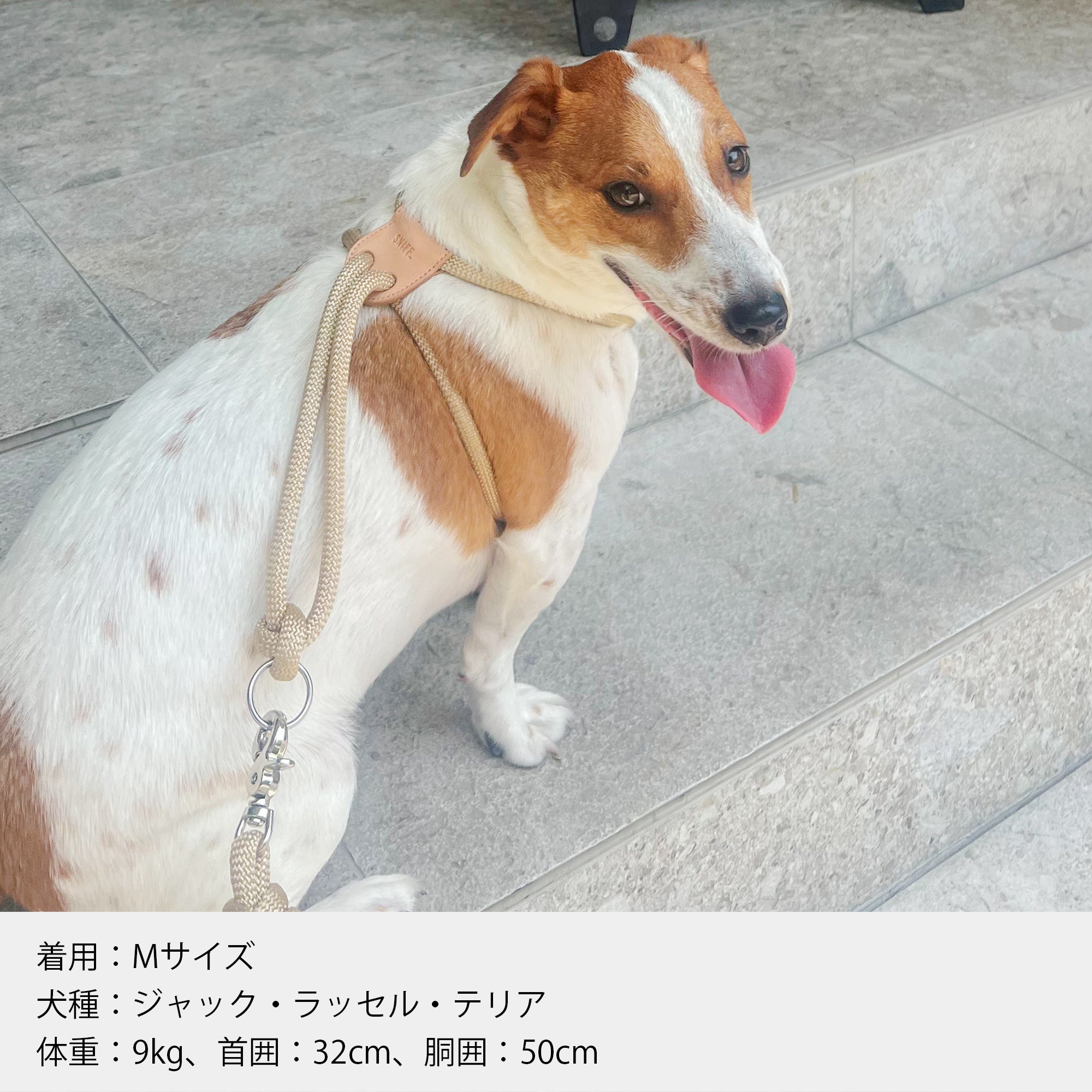Arch Harness Beige